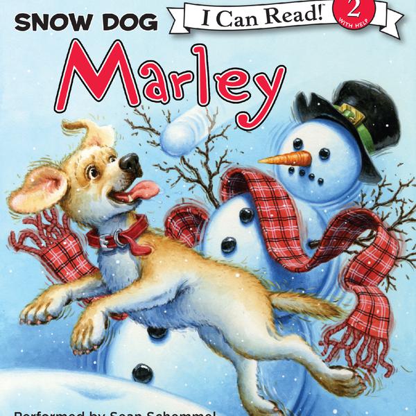 Marley: Snow Dog Marley