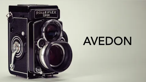 Where will Avedon peak on Netflix’s U.S. Movies Top 10?