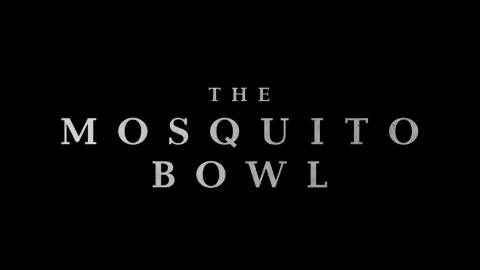 What will The Mosquito Bowl earn at the domestic box office opening weekend?