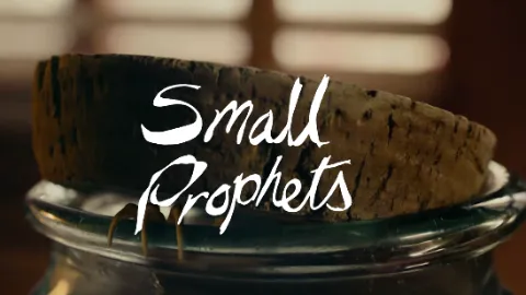 Small Prophets position on Apple TV's top 10 in its premiere week?