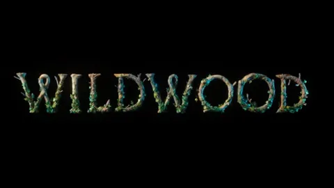 Wildwood's domestic opening-weekend box office?