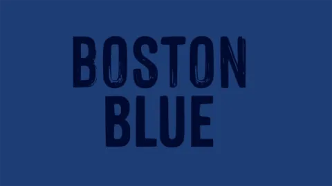 Will Reagan propose to Baez in Boston Blue S2?