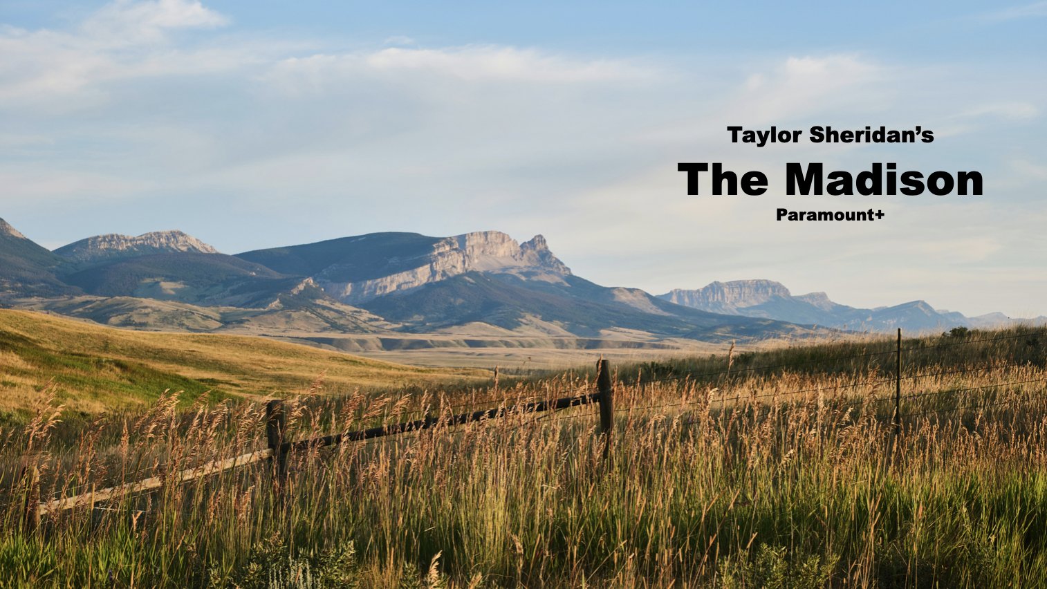 The Madison