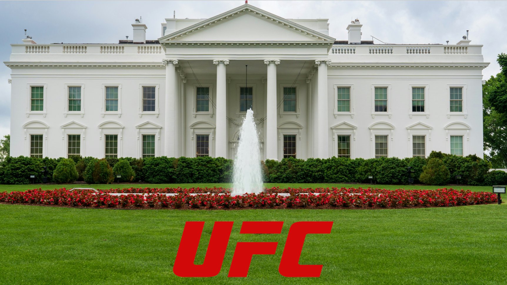 UFC Freedom 250