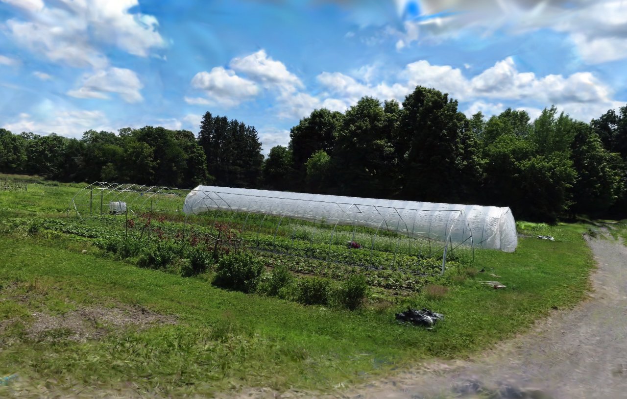Salt City Harvest Farm - Eggplant Fields