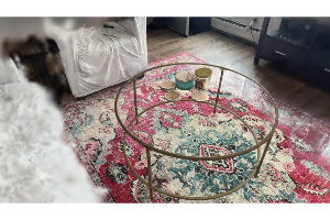 Coffee Table - Daniela Iuso