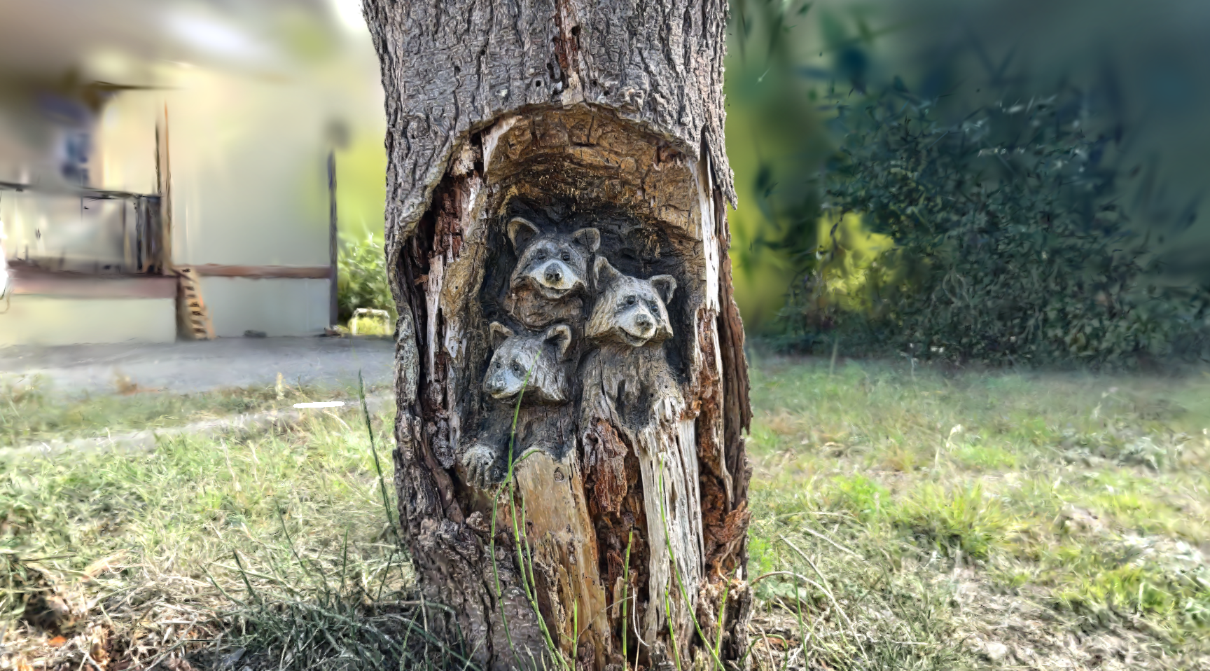Racoons Sculpture In Tree