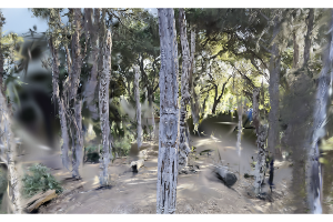 gs_Stanford_Tiki.splat