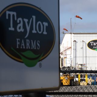 Jalapeño Salmonella Outbreak Recalls