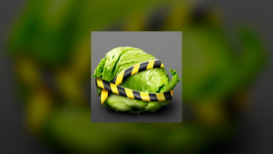 Cyclospora Outbreak Declared Over