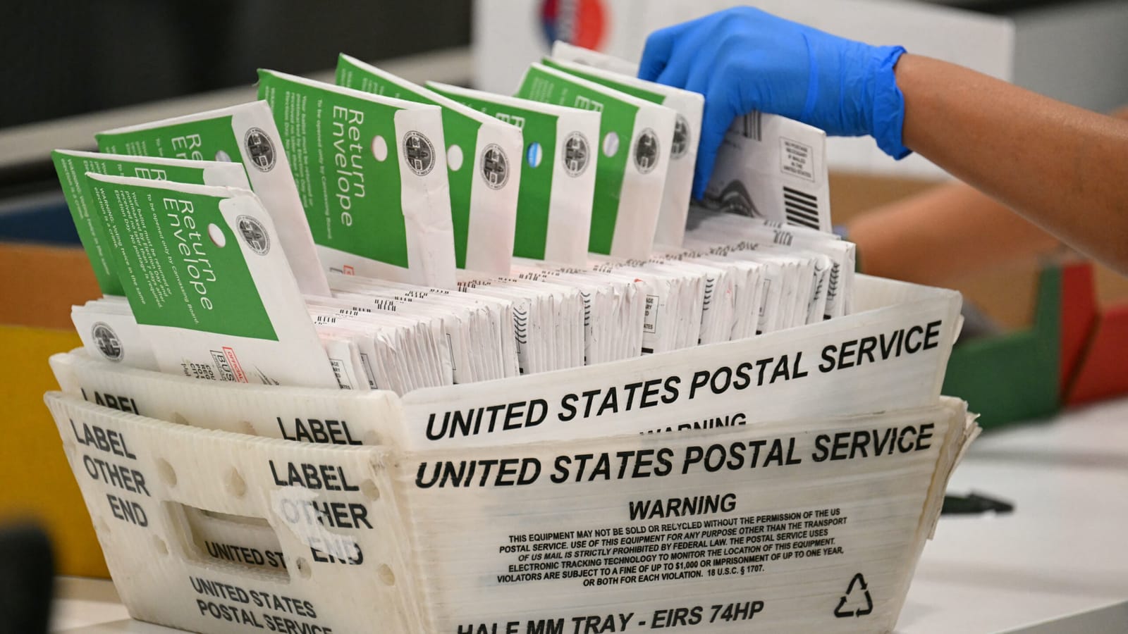 Mail-In Voting Block Reinstated
