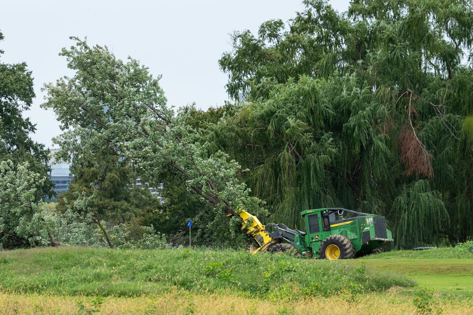 Judge Halts Golf Course Tree Removal