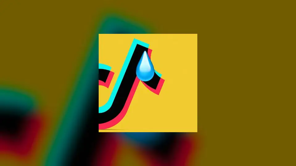 TikTok Child Privacy Settlement