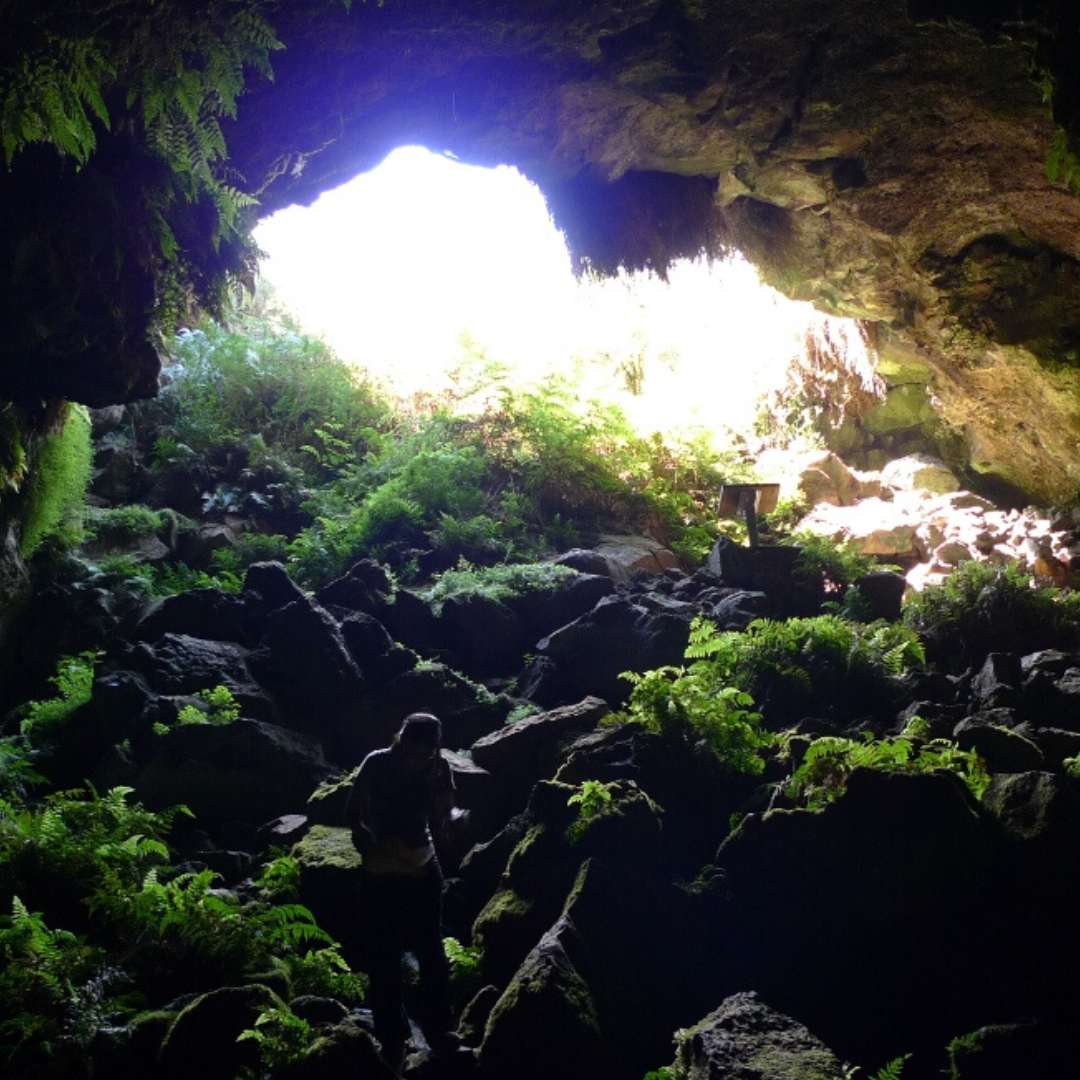 Byaduk