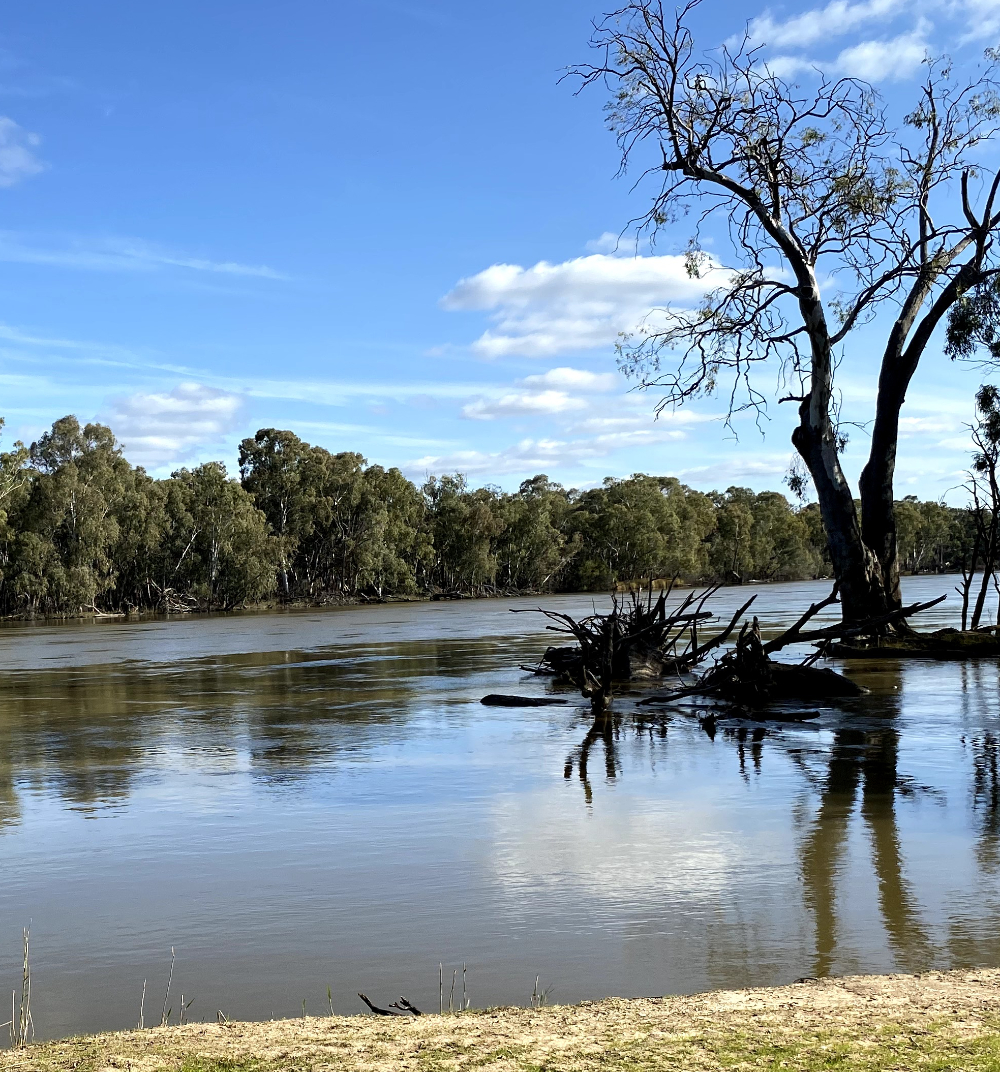 Junction Island Reserve