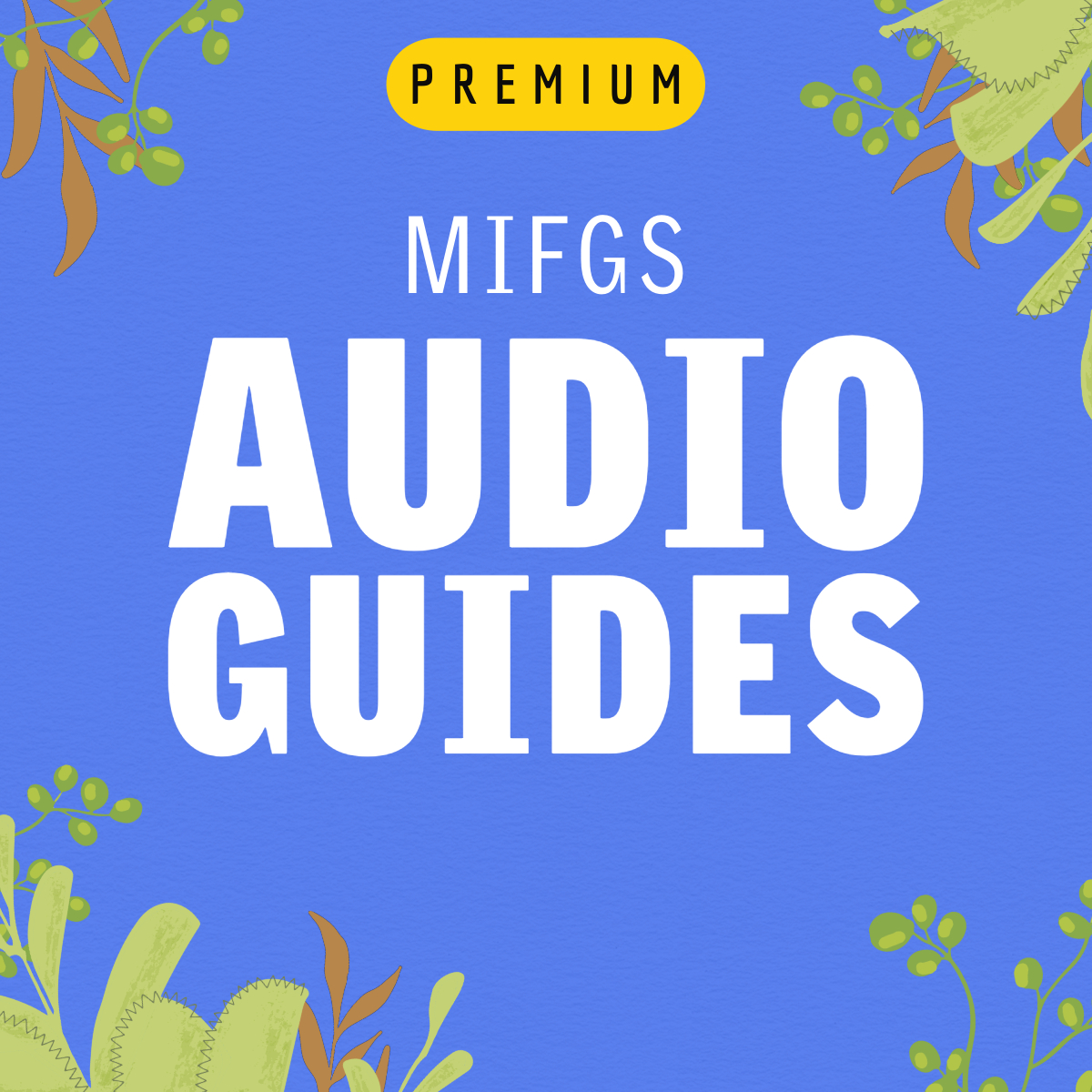 Welcome To Our Premium Audio Guides