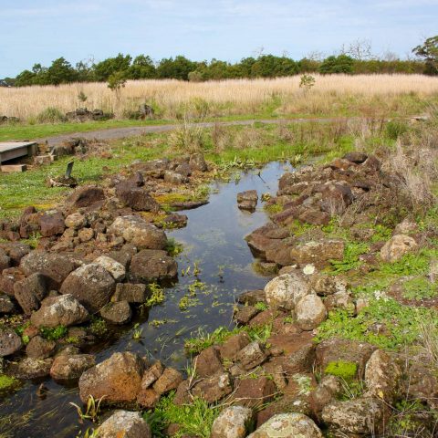 Ancient Aquaculture