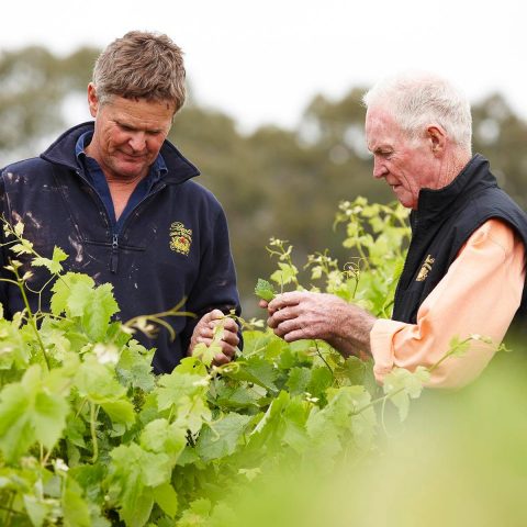 Best's Great Western Winery