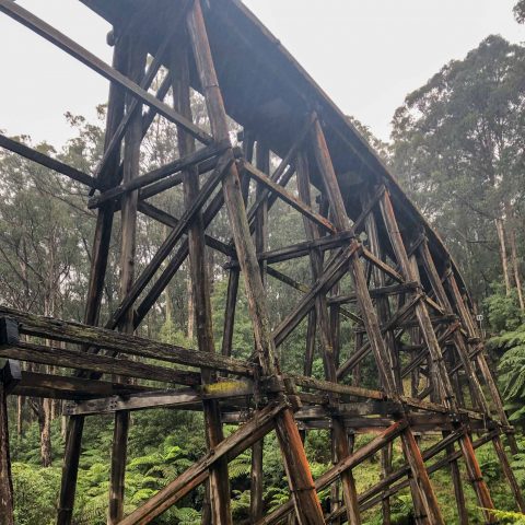 Noojee Trestle Bridge
