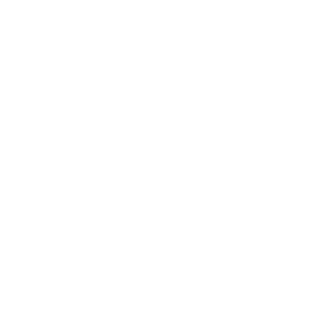 Goose Byte