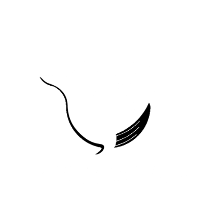 Misty Whale