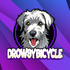 DrowsBicycle