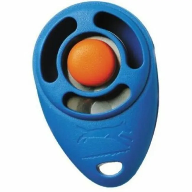 Clicker pour l'éducation