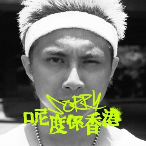 sorry 呢度係香港Remix  ft.馬太福音、家麗