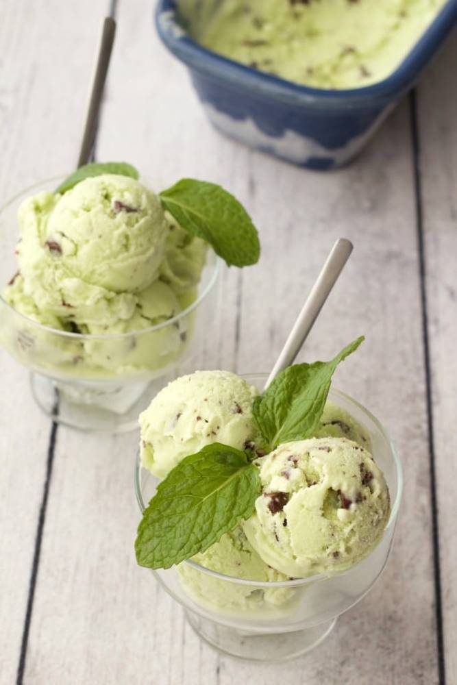 Vegan Mint Chocolate Chip Ice Cream