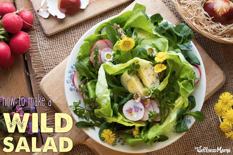 Wild Salad Recipe