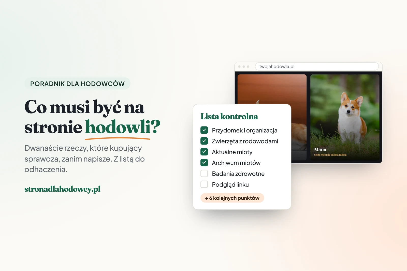Co musi być na stronie hodowli? Lista kontrolna