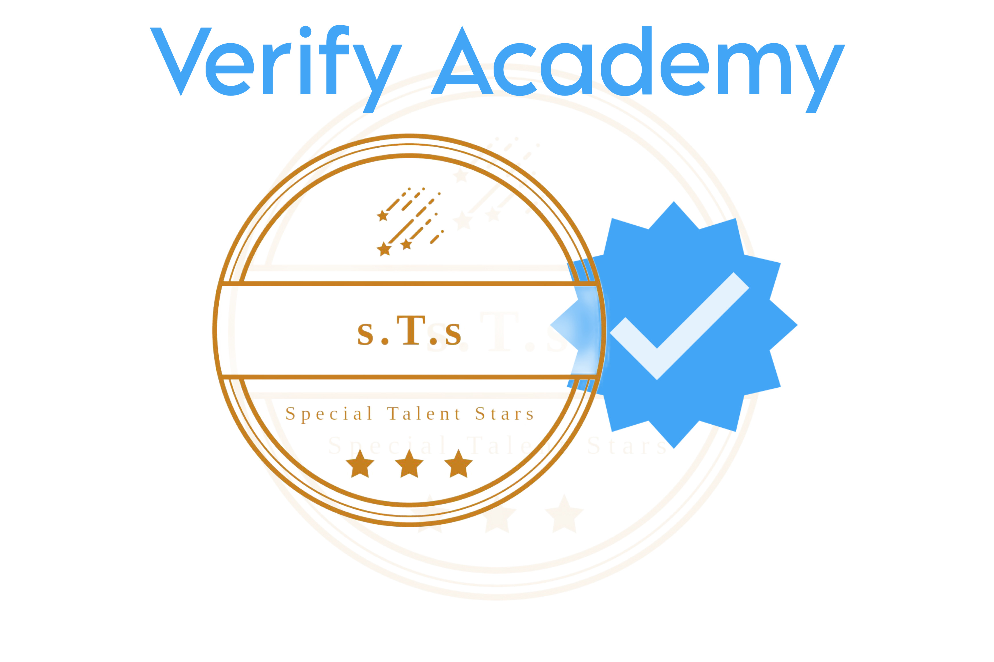 Verify Academy (Available Now)