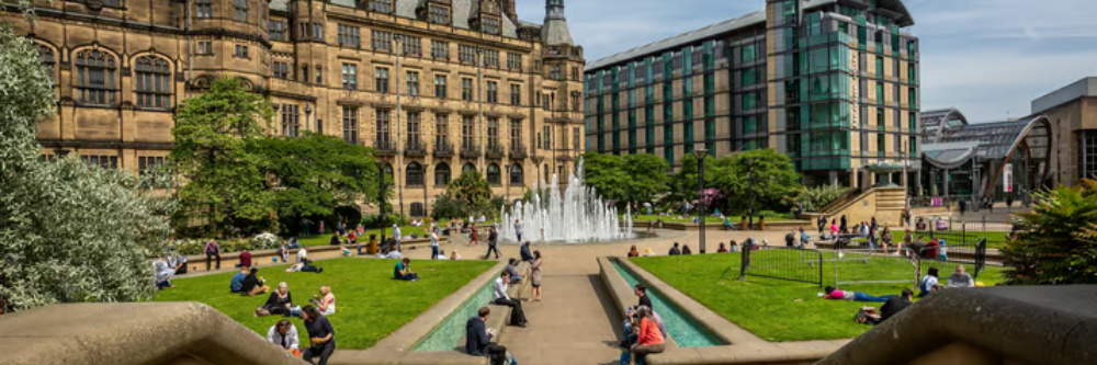 University of Sheffield 