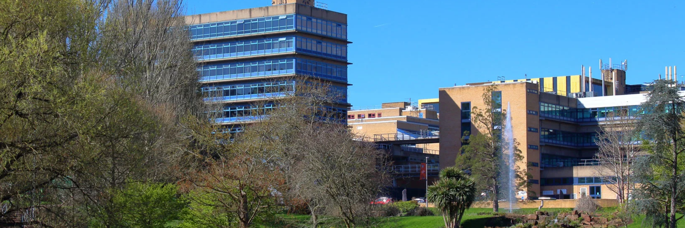 University of Surrey