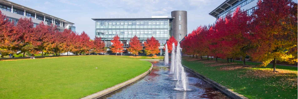 University of Warwick