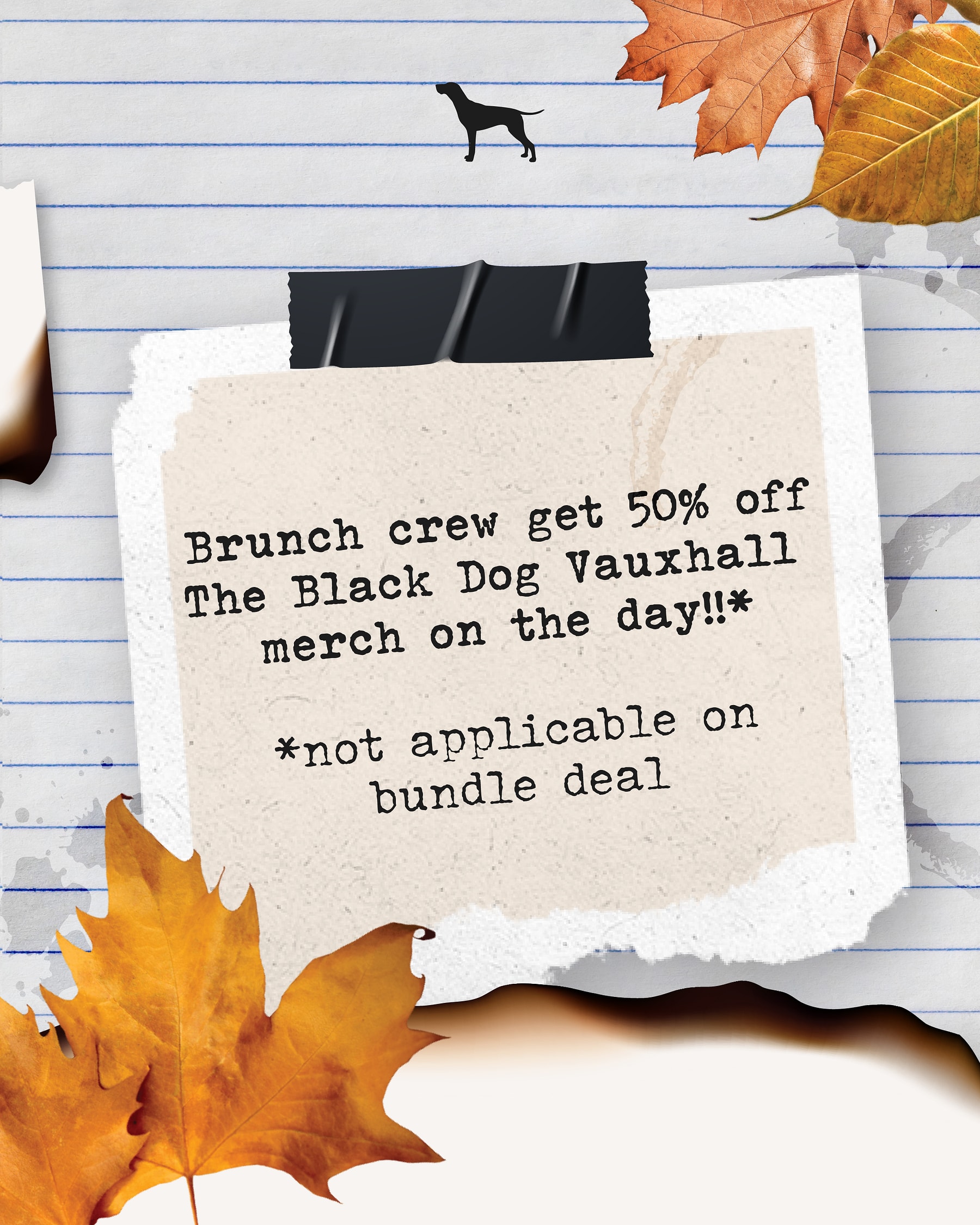 The Black Dog — student bar photo