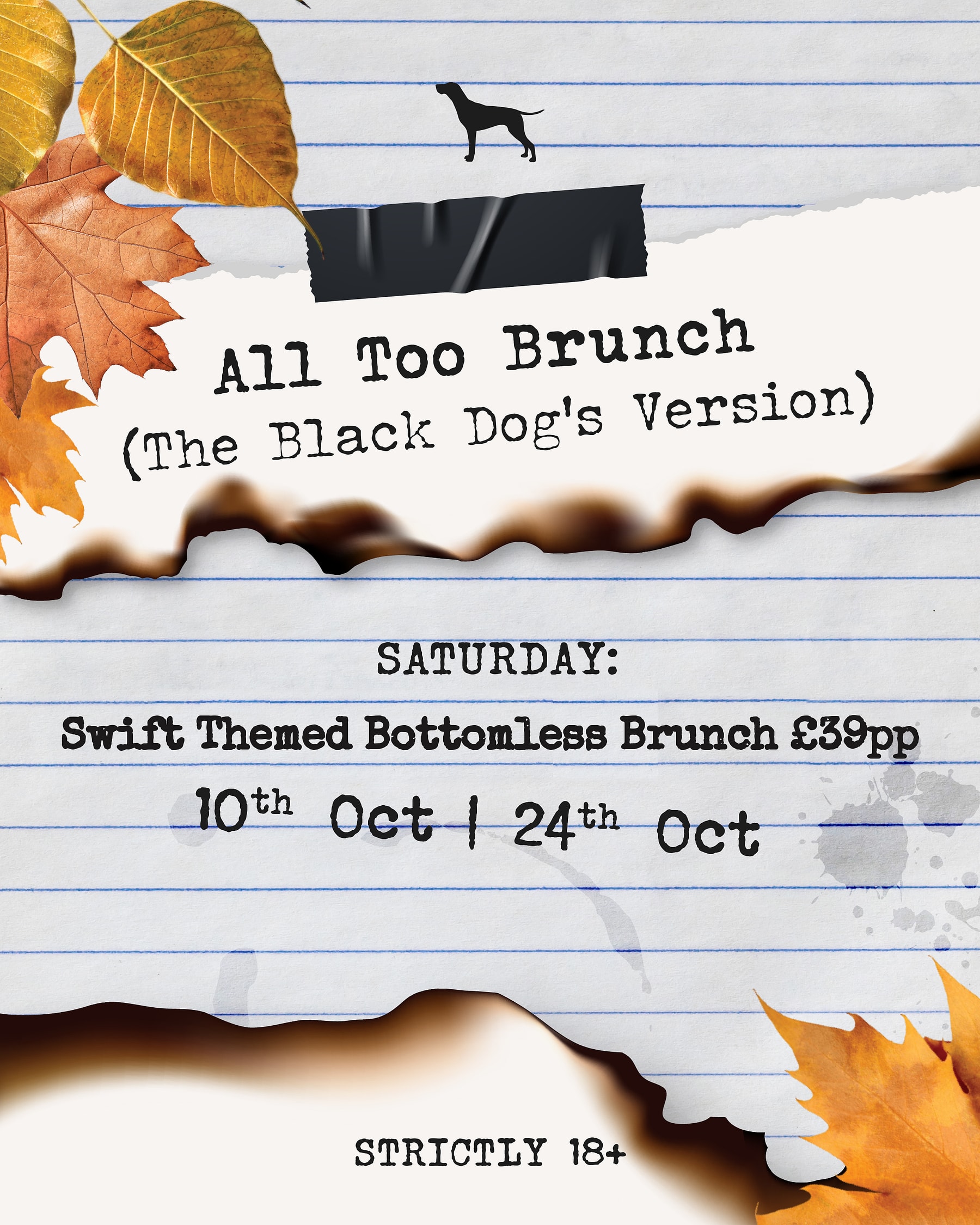 The Black Dog — student bar photo