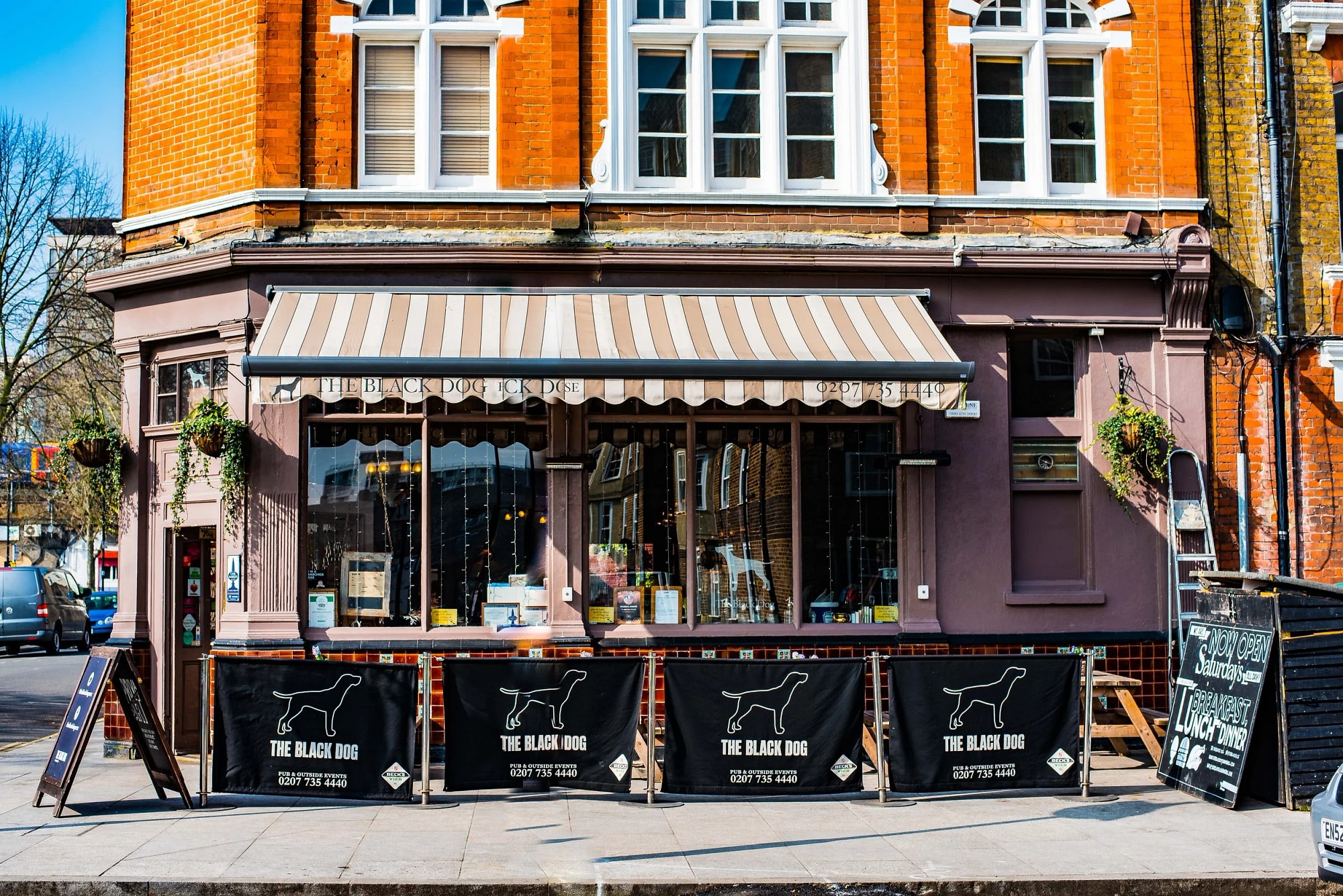 The Black Dog — student bar photo