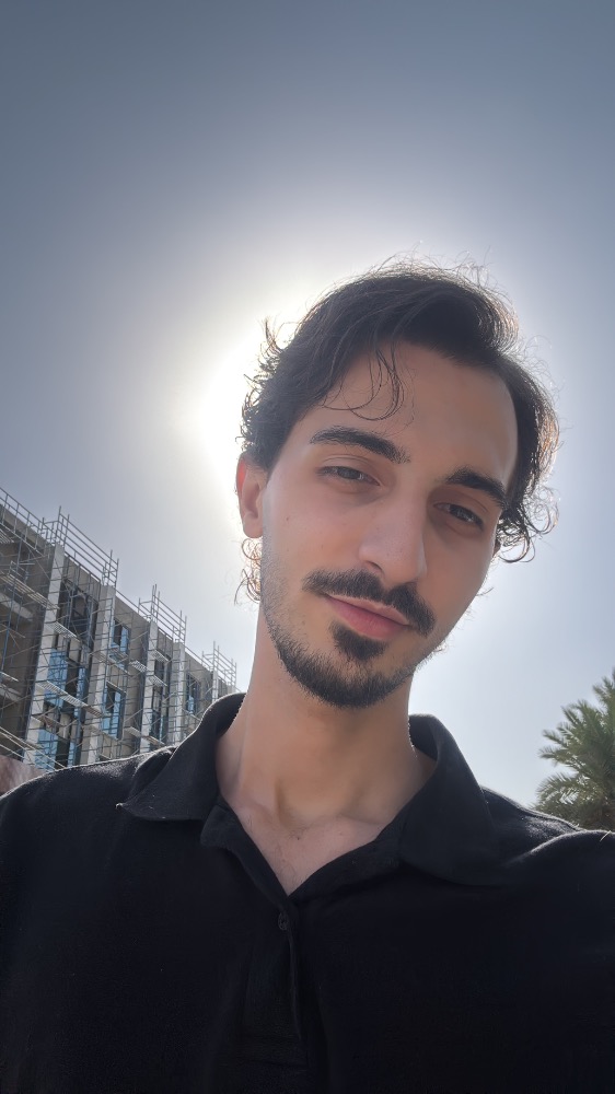 ali nameer