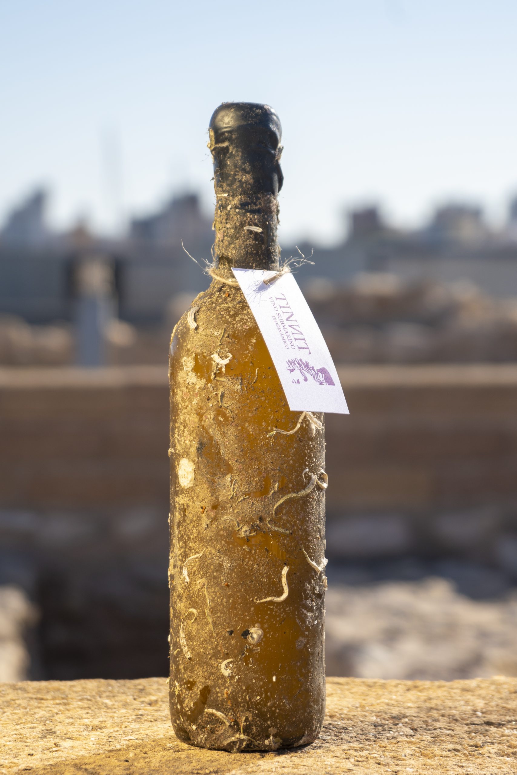 Botella de vino blanco Forcallat Tinnit, un vino de autor con crianza submarina.