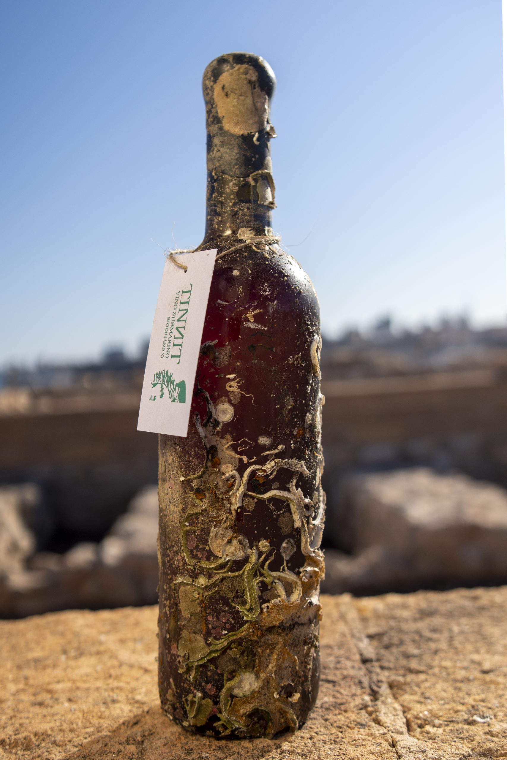Botella de vino rosado Garnacha Tinnit, un vino exclusivo madurado en el fondo del mar.
