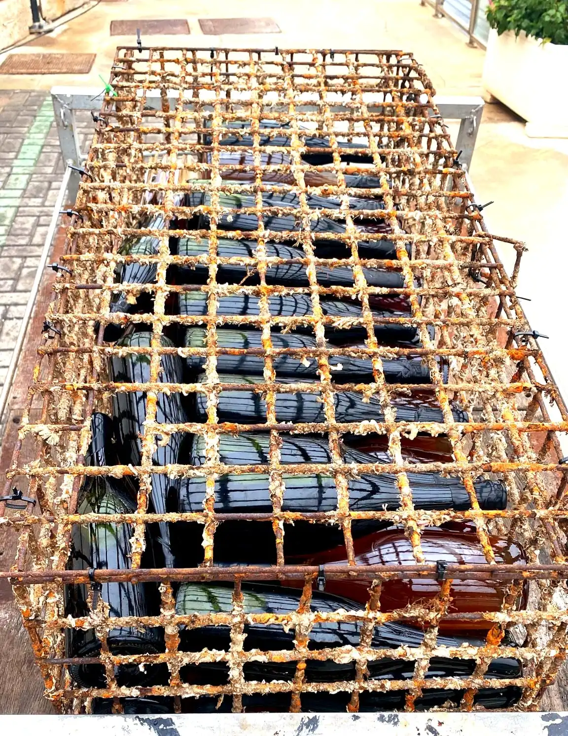 La estructura de la bodega submarina de Tinnit antes de ser sumergida en el mar para el envejecimiento del vino.