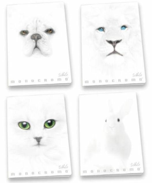 Quaderno a righe 1 e 2 elementare- copertine casuali