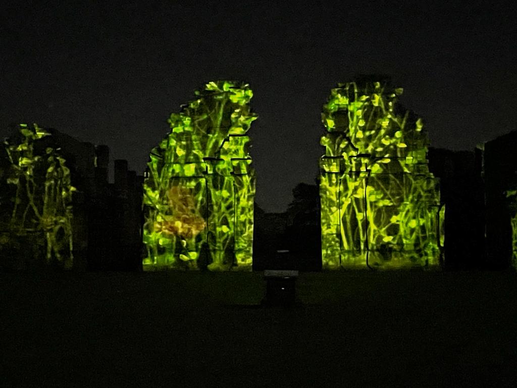 Espectáculo de Imagen y Sonido