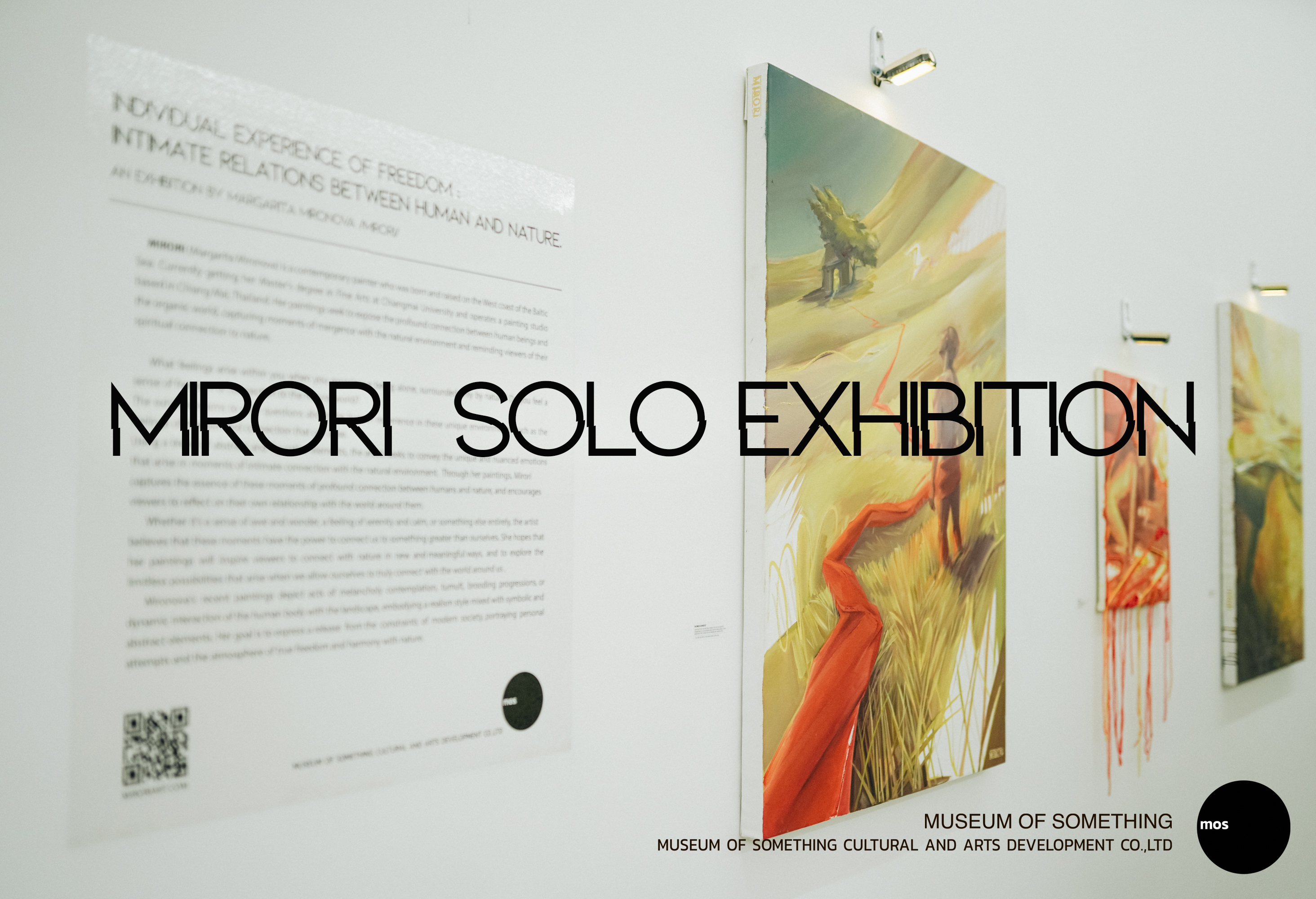 Image from MOS Museum of Something. Solo exhibition
