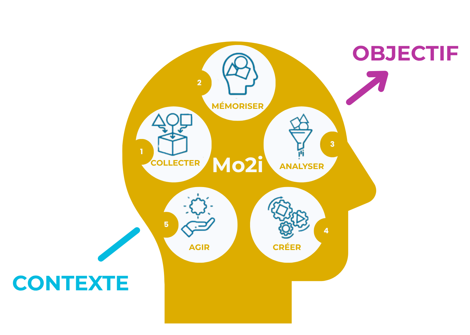 Schéma de la méthode Mo2i avec les 5 étapes : collecter, mémoriser, analyser, créer, agir.