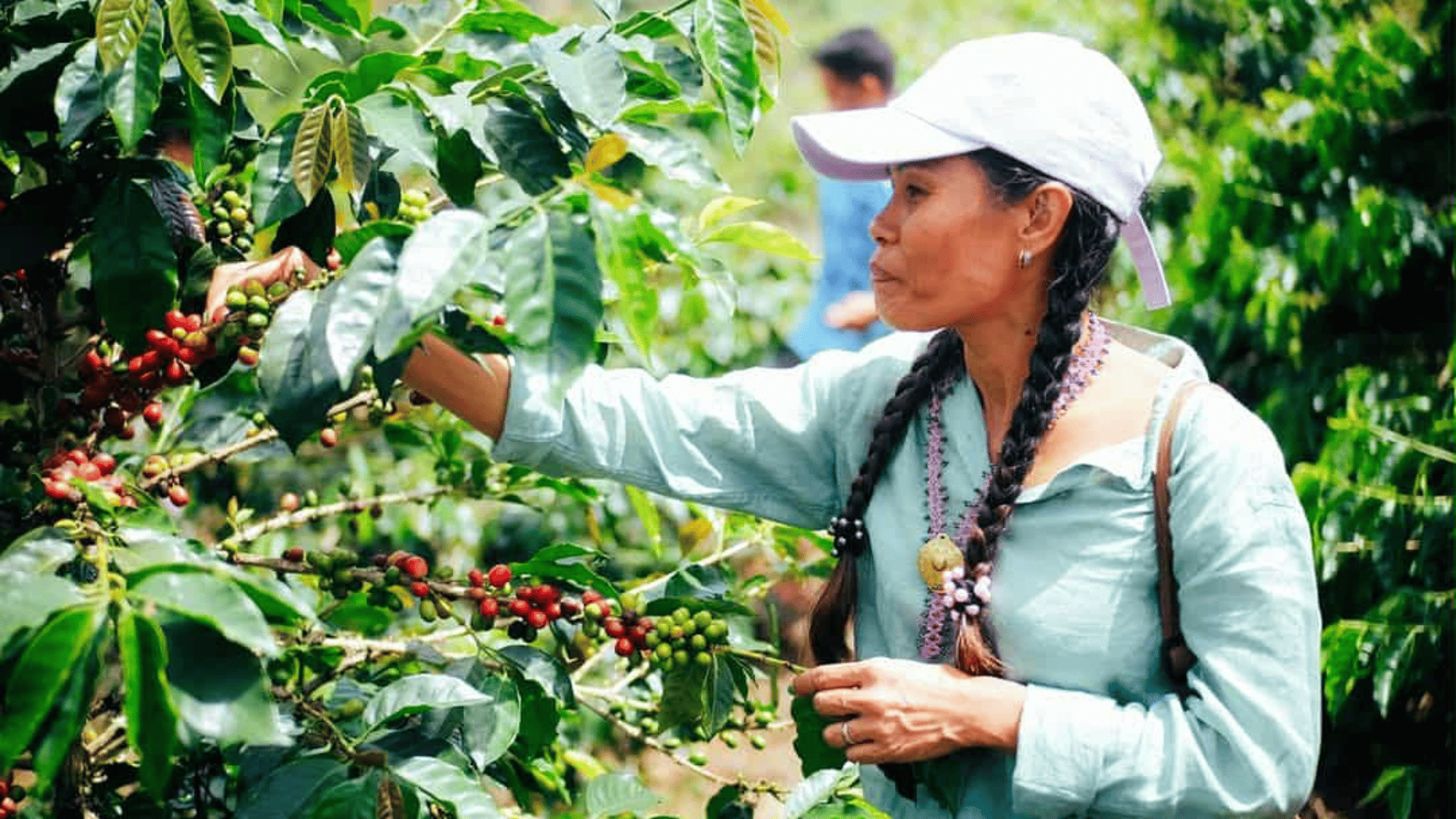 A view from the FROGKAFFEE gallery.