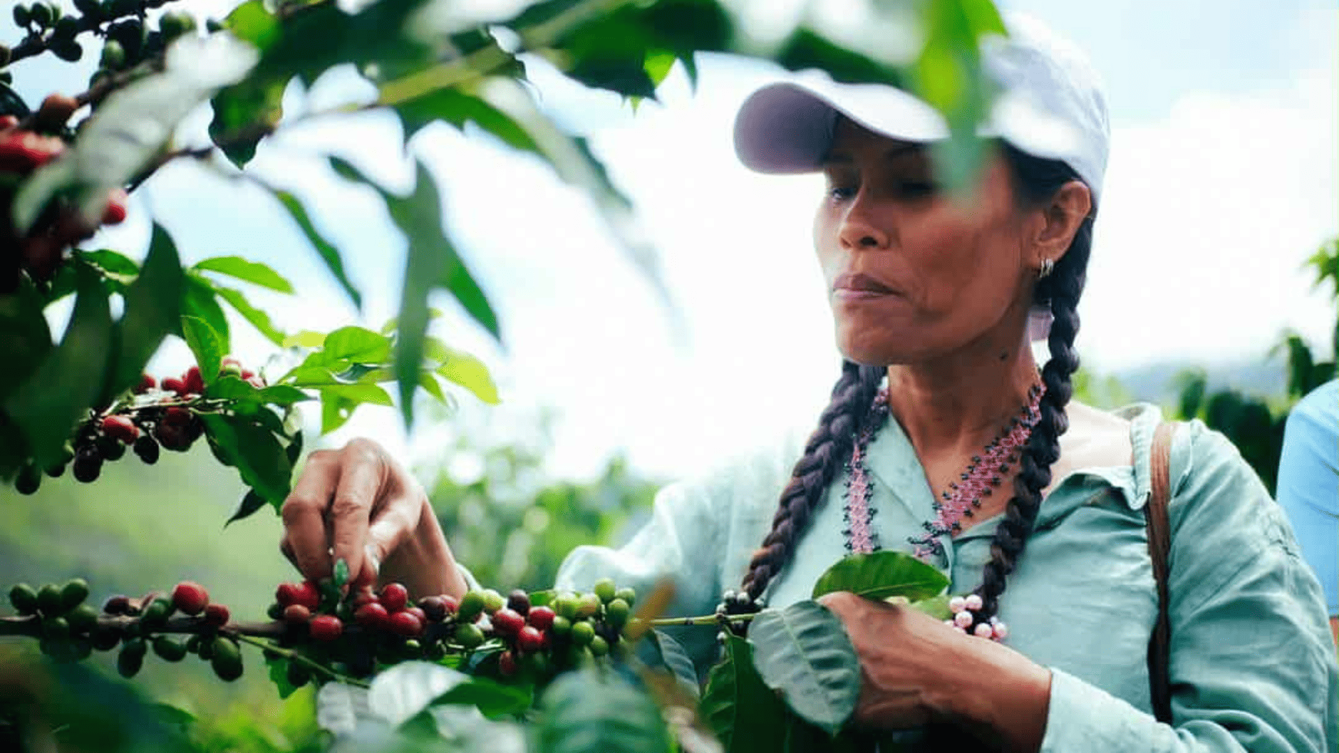 A view from the FROGKAFFEE gallery.