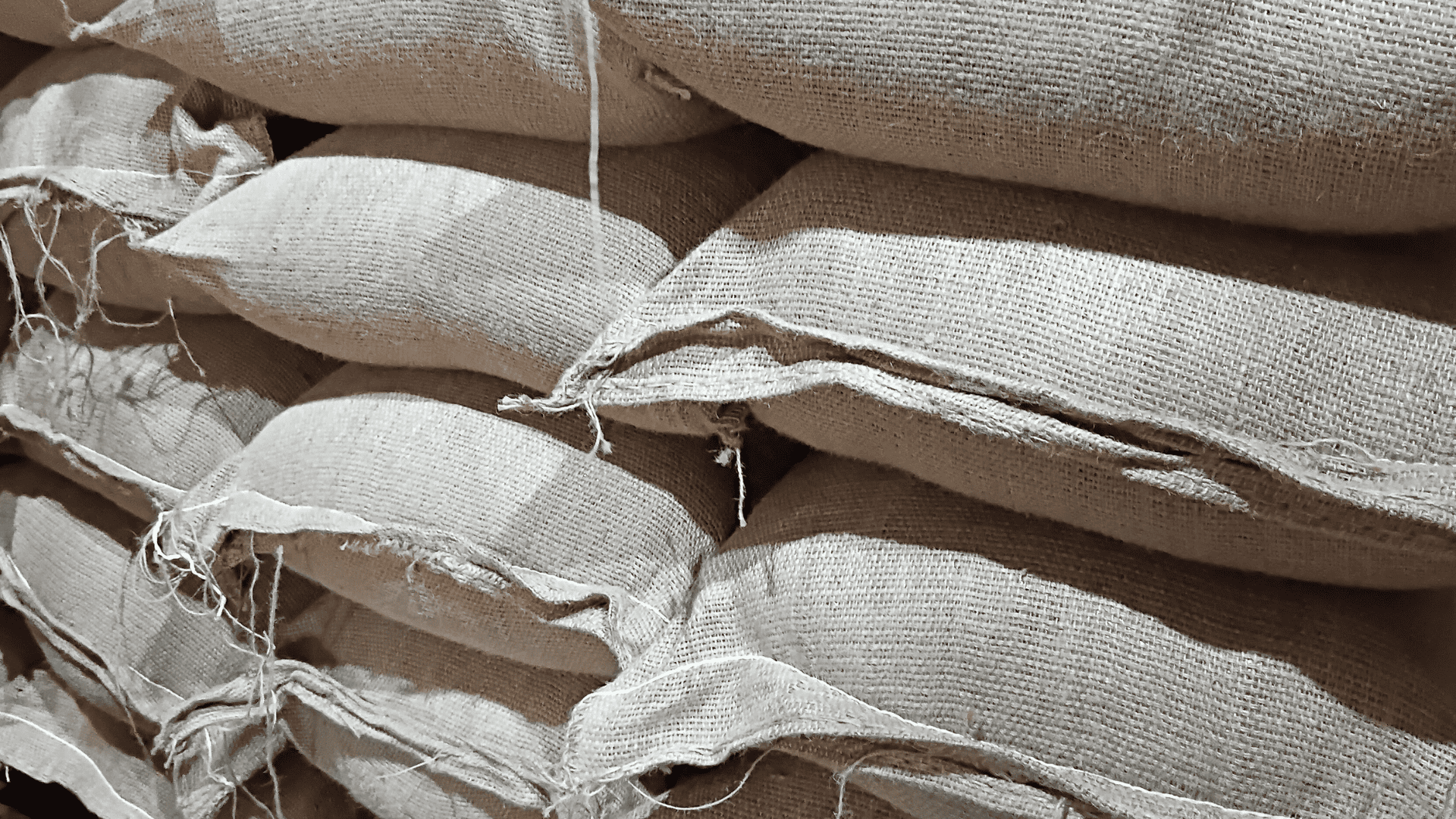 A picture from the FROGKAFFEE gallery.