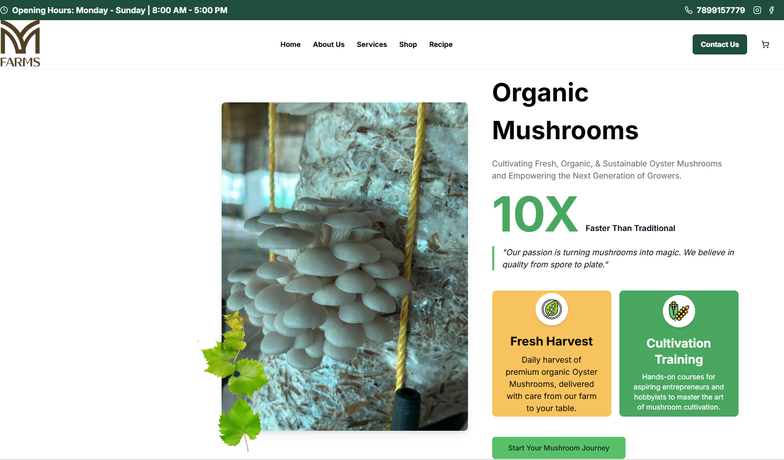 M V Farms - Organic Agriculture E-commerce